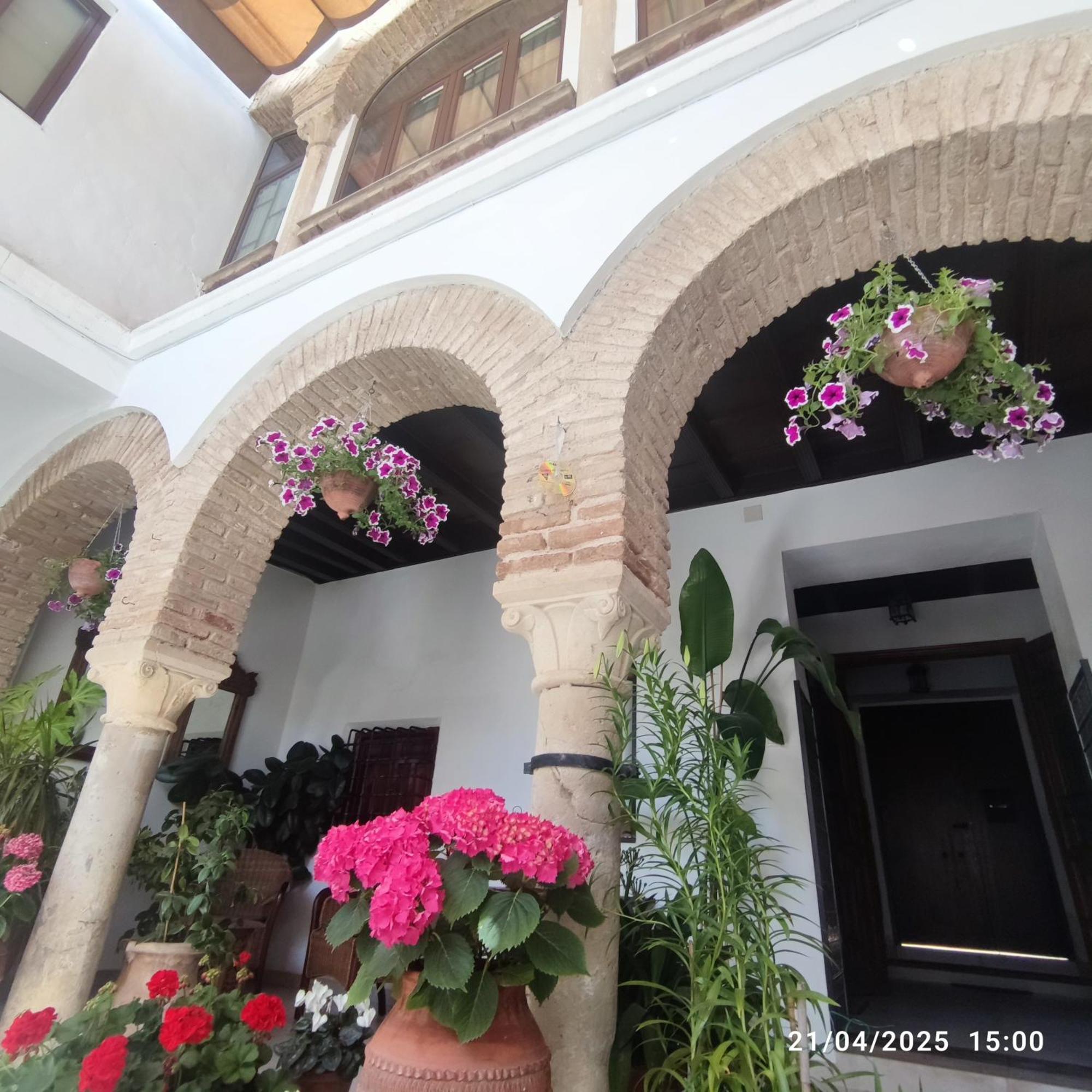 Apartment El Patio De Regina *